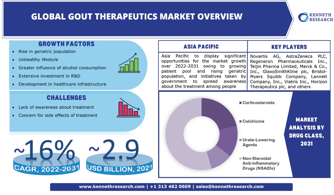 Global Gout Theraputics Market Trends & Industry Analysis